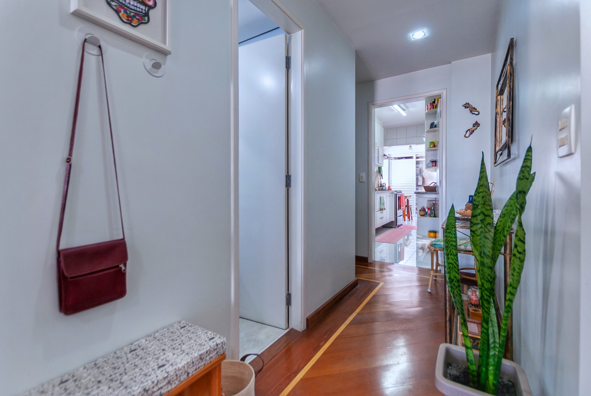 DSC_2927_20250715195624451.webp